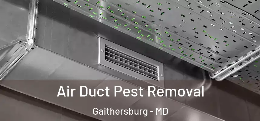 Air Duct Pest Removal Gaithersburg - MD