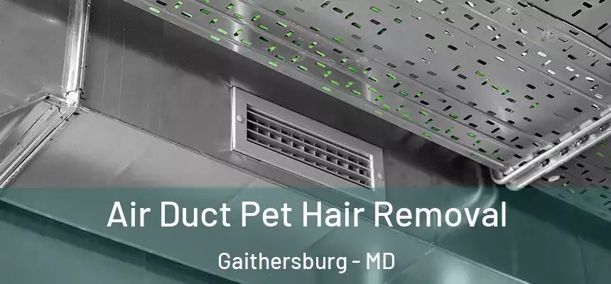 Air Duct Pet Hair Removal Gaithersburg - MD