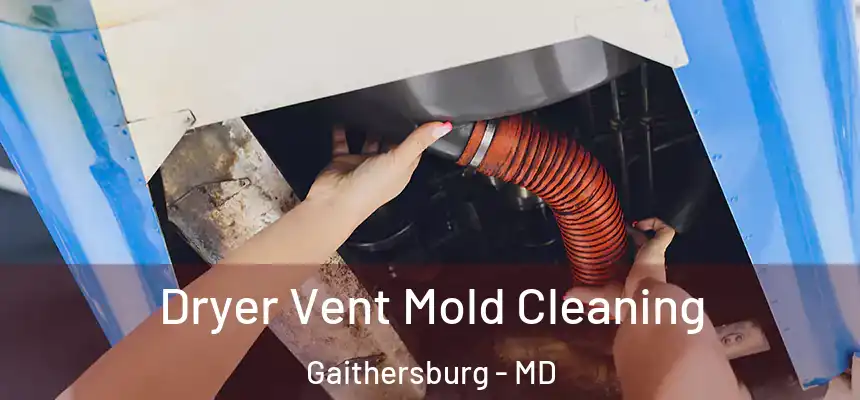 Dryer Vent Mold Cleaning Gaithersburg - MD