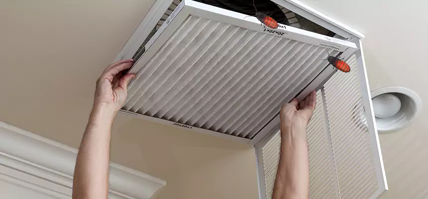 Our Insect Removal from Air Ducts Services in Gaithersburg, MD