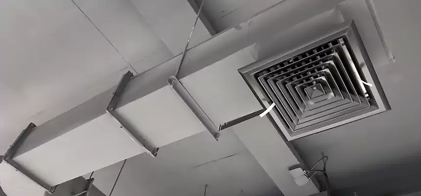 Our Pest Removal From Ducts Services in Gaithersburg, MD