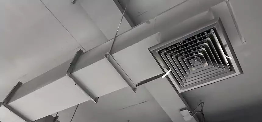 Our Rodent Droppings In Vents Services in Gaithersburg, MD