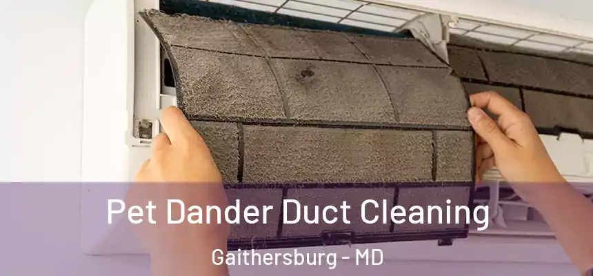 Pet Dander Duct Cleaning Gaithersburg - MD
