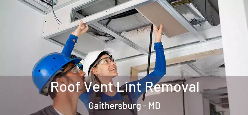 Roof Vent Lint Removal Gaithersburg - MD