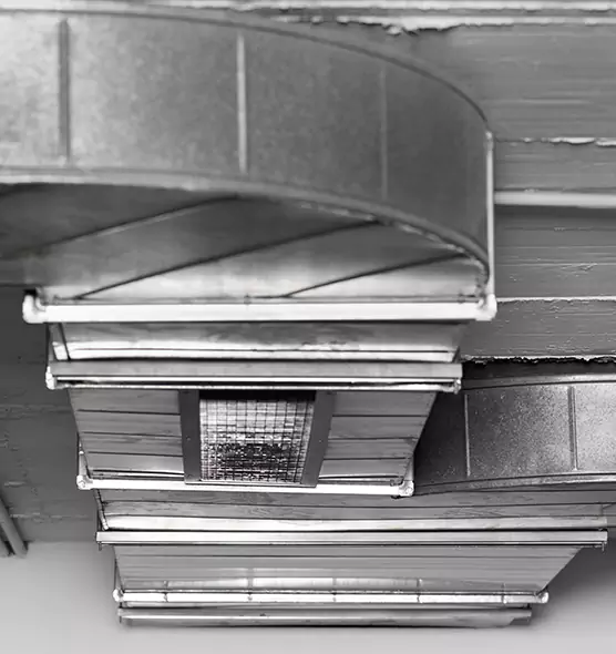 Professional Air Duct Pest Removal in Gaithersburg, MD