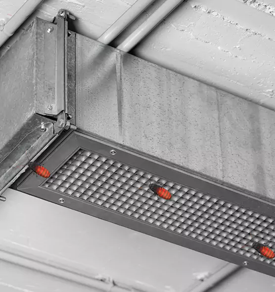 Affordable Insect Removal from Air Ducts in Gaithersburg, MD