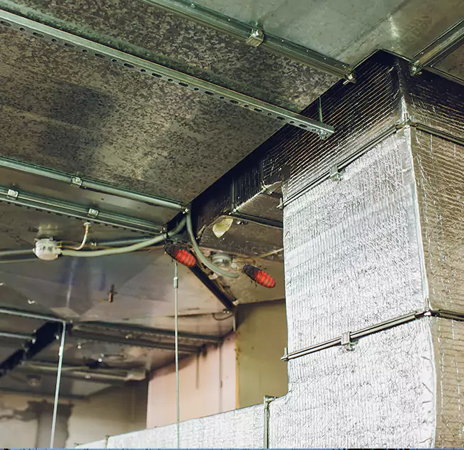 Why Homeowners & Businesses Trust Us in Gaithersburg, MD?