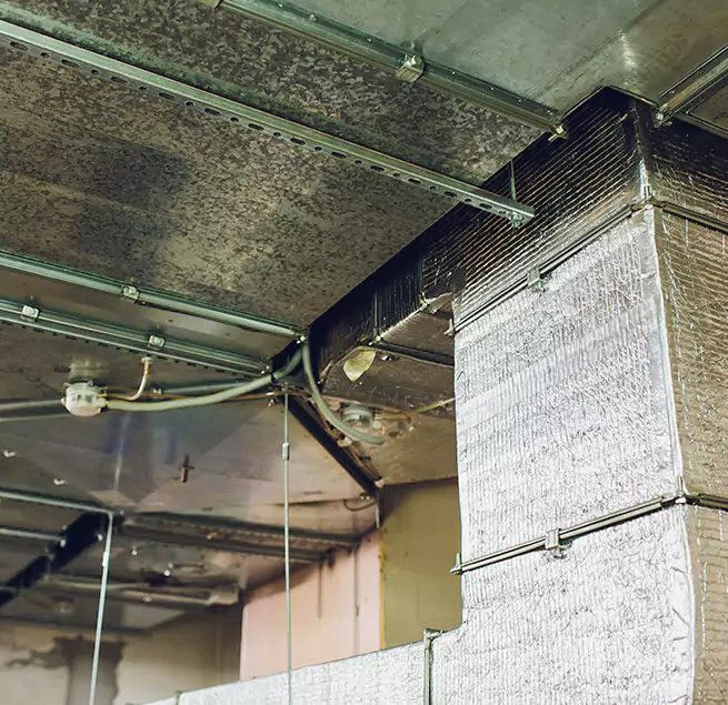 Why Homeowners & Businesses Trust Us in Gaithersburg, MD?